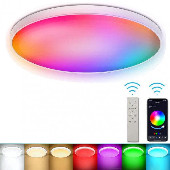 Smart Ceiling Light Wifi