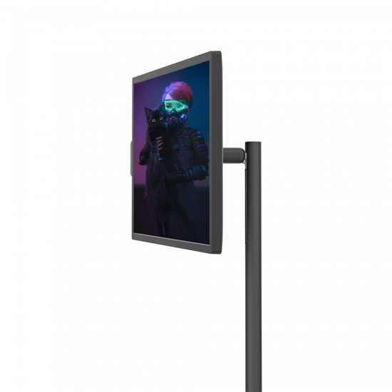 Devo Gaming Monitor - DFI32STV - 32" IPS FHD