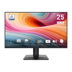 MSI PRO MP251 E2 FHD IPS 120Hz 1ms Gaming Monitor