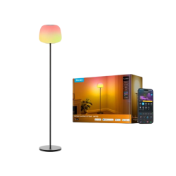 Govee Lantern Floor Lamp