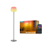 Govee Lantern Floor Lamp