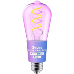 Govee Edison Bulb