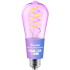 Govee Edison Bulb