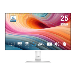 MSI PRO MP251 E2 FHD IPS 120Hz 1ms Gaming Monitor